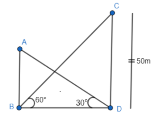 Two opposite side right angle triangle ABD and BDC