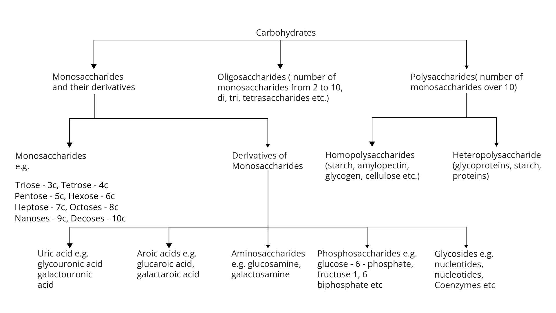 Flowchart of Biomolecules