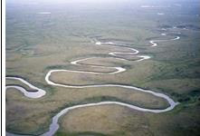 Meander