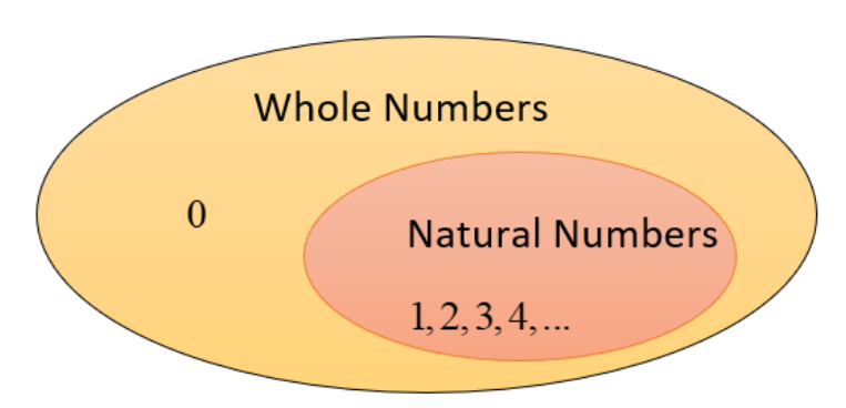 Natural numbers lie in the whole number series