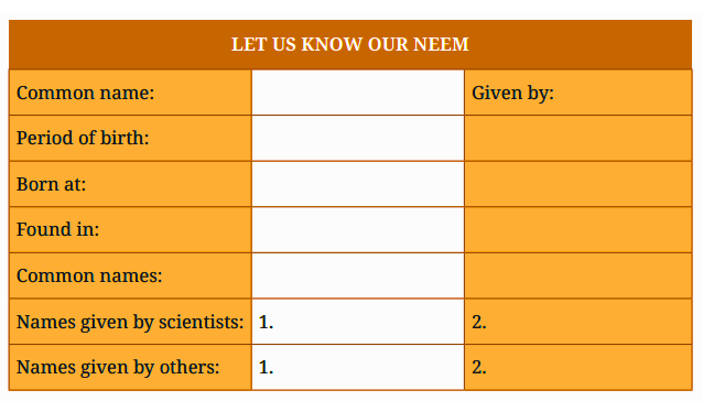 Description of Neem Trees