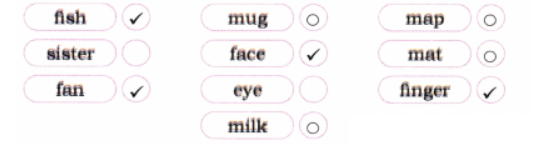 Circle the words that begin with m Solution