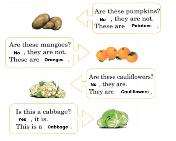 Fill in the blanks - 2