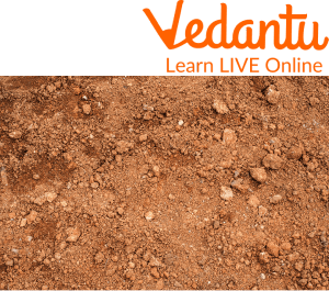 Laterite Soil