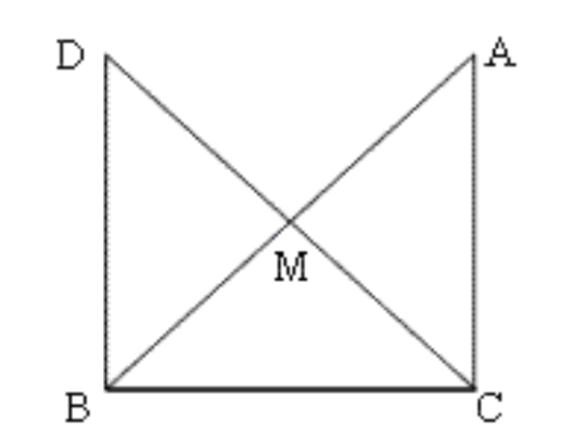 right angled triangle ABC