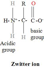 Zwitterion