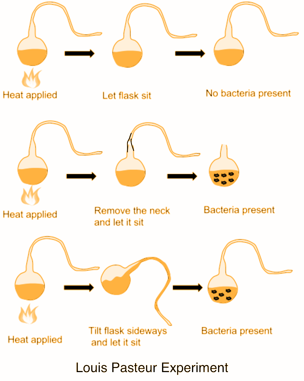 Louis Pasteur's spontaneous generation