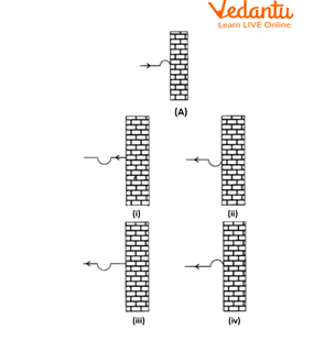 The Pulse will be Reflected at the End of the Fixed End