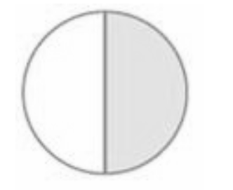circle shaded part (i)