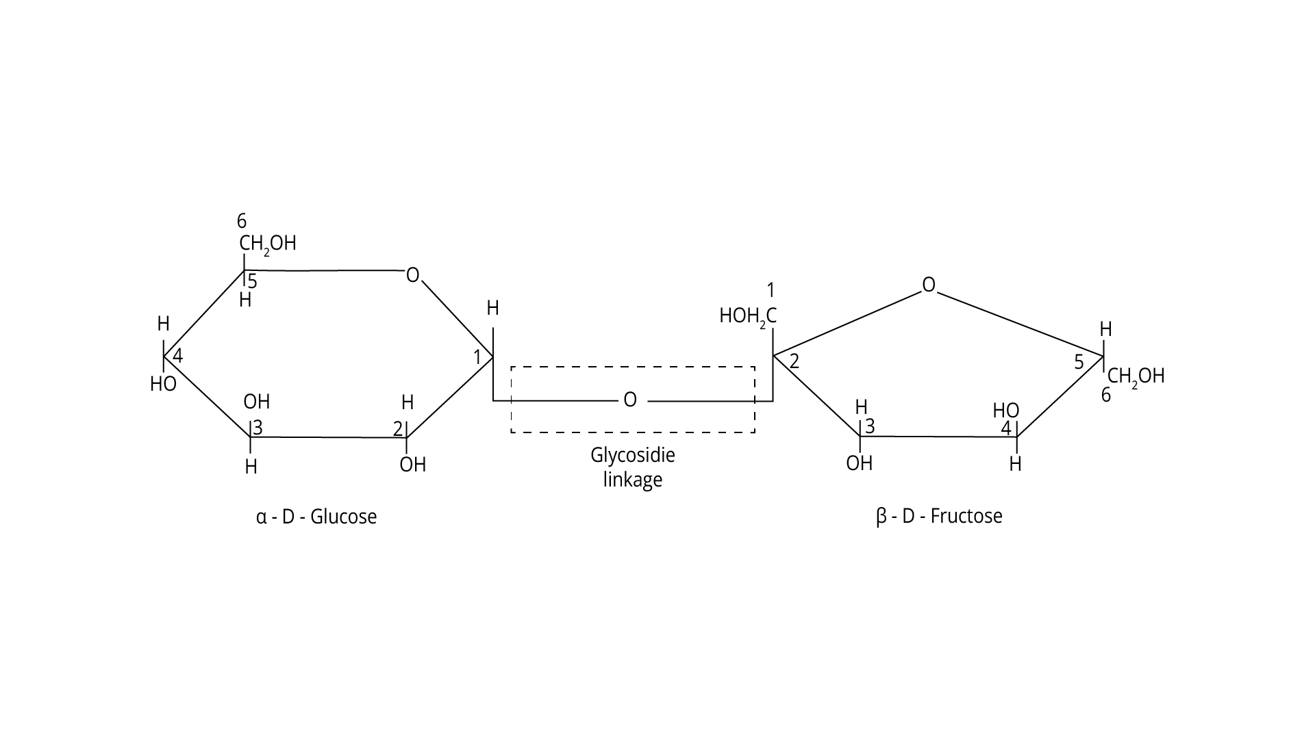 monosaccharides