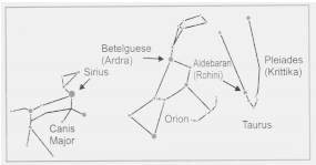 lines connecting the stars for Orion and label the star Sirius. Solutions