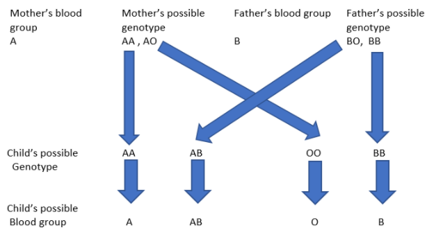 blood group test - example