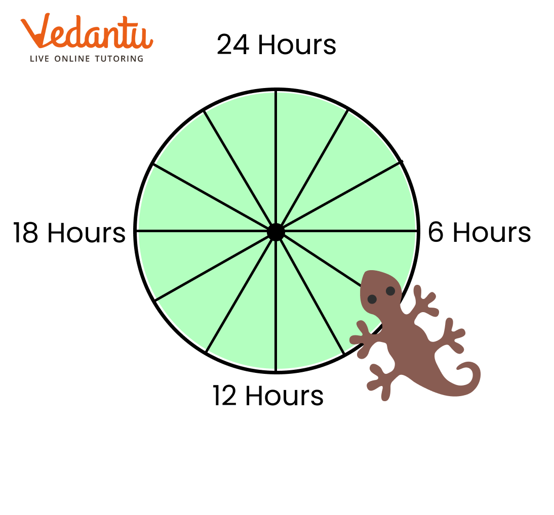 The colored part indicates the sleeping time for lizards during winter