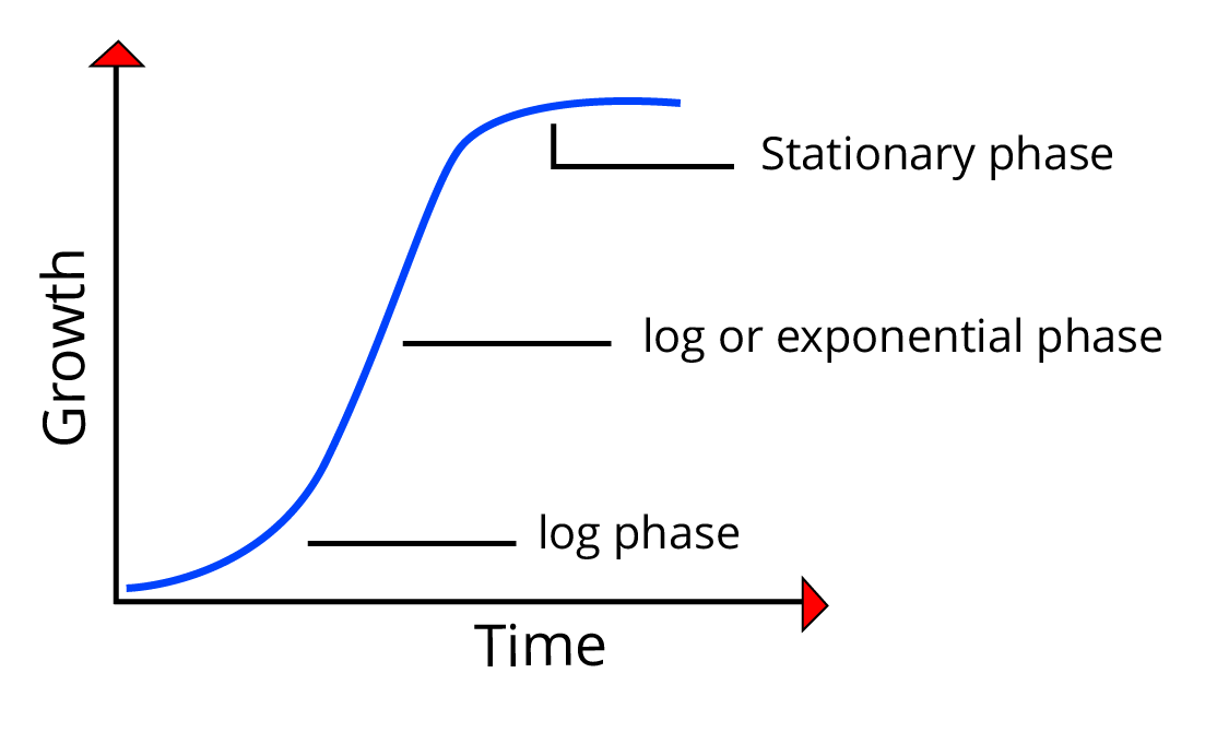Logistic Growth Curve of Population