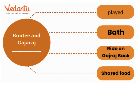 Activities of Buntee and Gajaraj Solutions