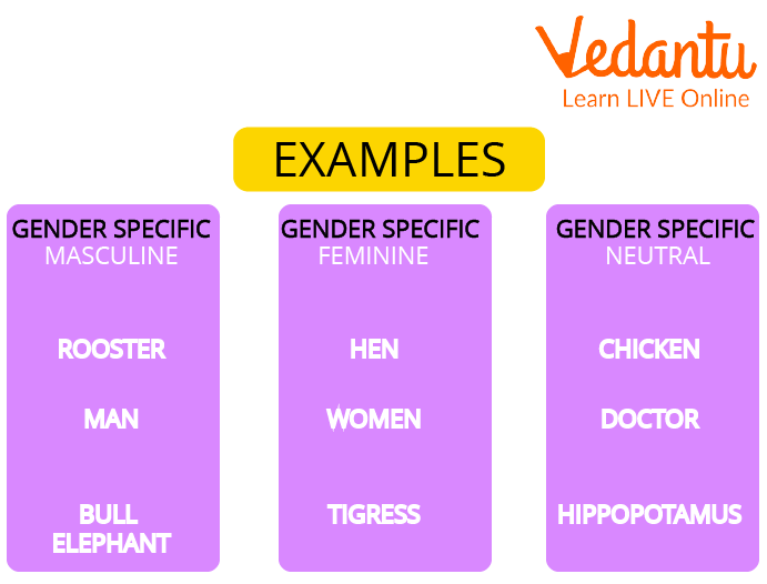 Examples of Noun Genders