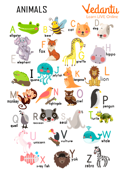 animals that start with u