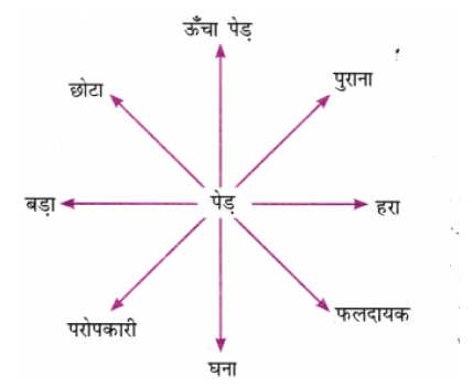 पेड की विशेषता बताने वाले शब्द-