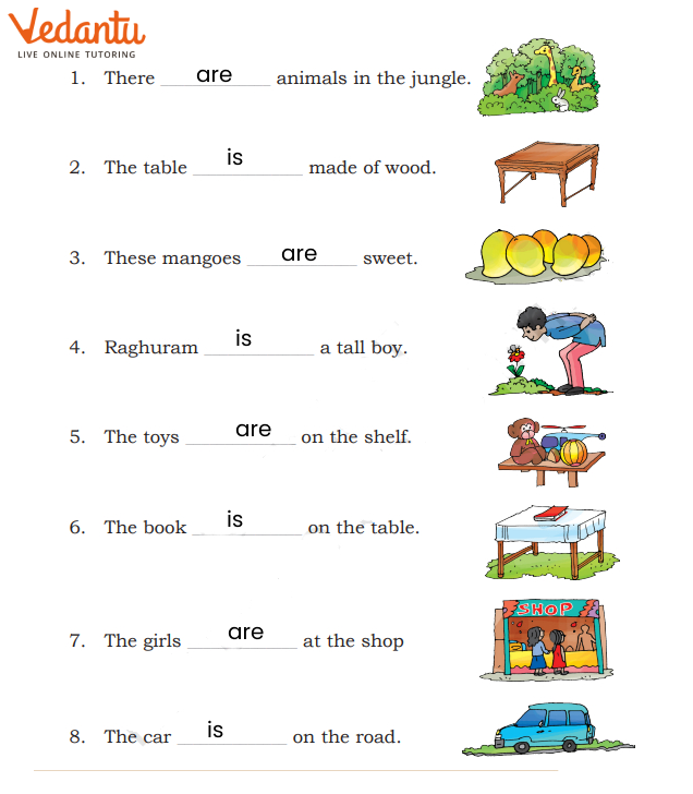 Usage of is and are