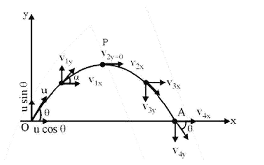 Analysis of velocity in the case of a projectile