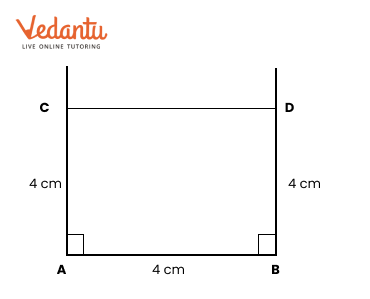 AC = 4 cm and BD = 4 cm