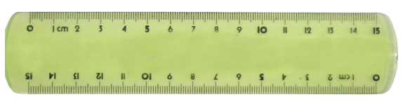 A 15-cm scale