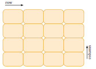 Place the objects in the given boxes