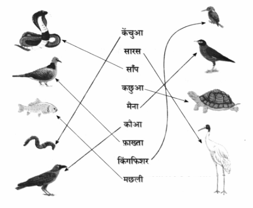 शब्दों का खेल उत्तर