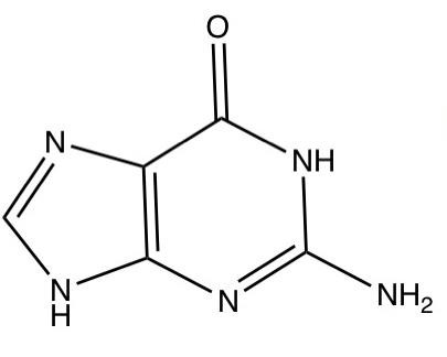 Guanine