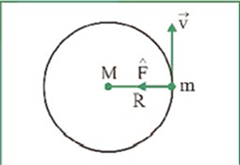 Law of Periods