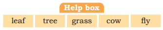 Help box