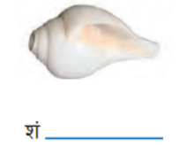 शंख