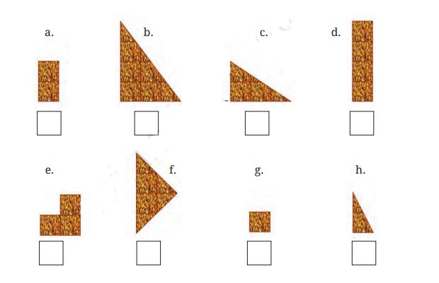 chikki in different cut pieces