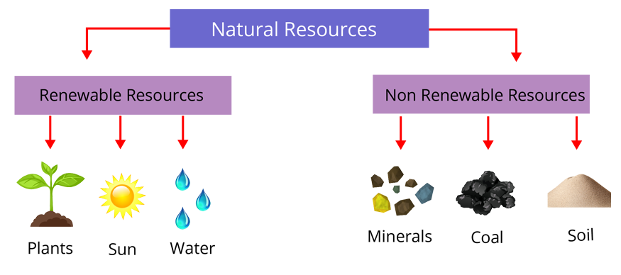 Renewable And Non Renewable Resources Types Differences Examples 