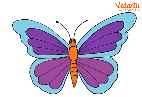 Butterflies | Coloring pages for children 6 and 7 years old распечатать  бесплатно