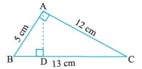 Triangle ABC right angled at A