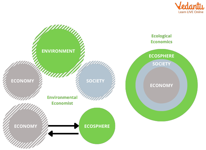 Green Economy Importance Examples Green Economics Vs Ecological 