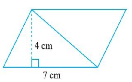 Parallelogram with base 7cm and height 4cm