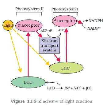 Electron Transport