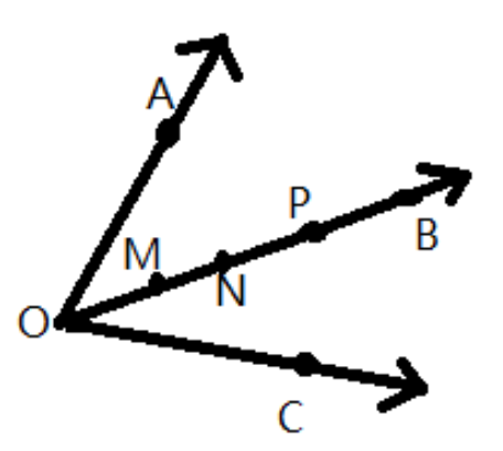 Two angles have four point in common