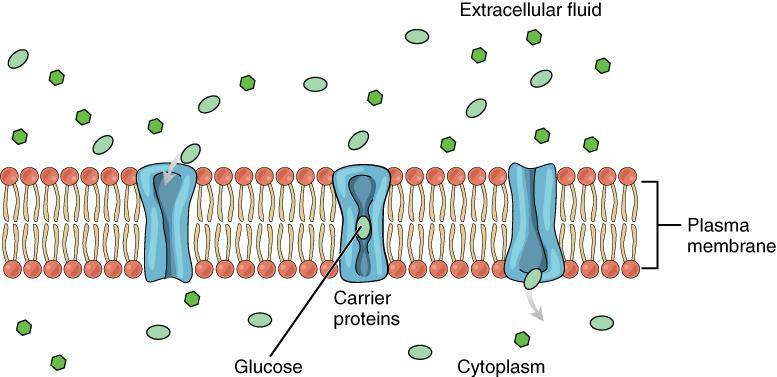 Diffusion diagram