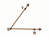 Draw and label an angle with arms ST and SR.