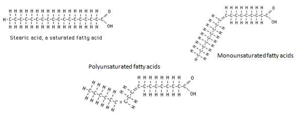 saturated and unsaturated fatty acids examples