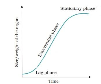 The sigmoid growth curve