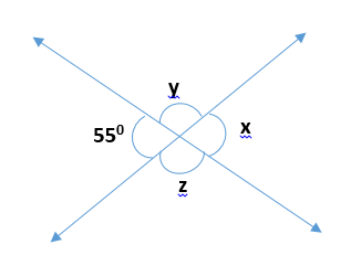 Figure representing 4 angles such as 55,x,y,z degrees