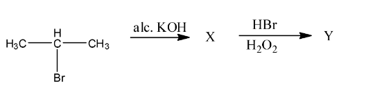 utene with bromine in the presence of carbon tetrachloride