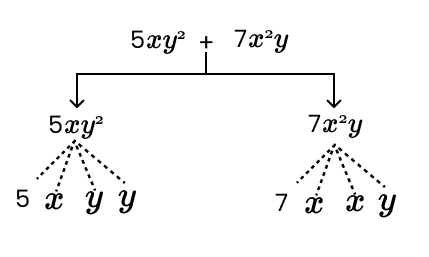 Terms 5xy + 7x2y