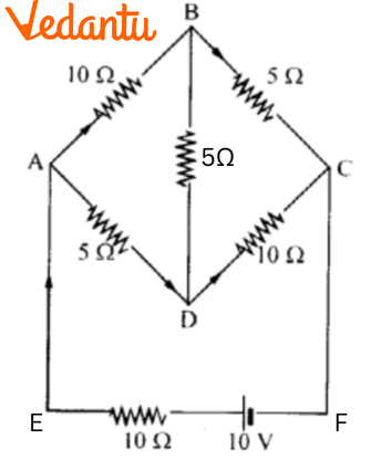 branch of network