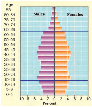 Japan population pyramids