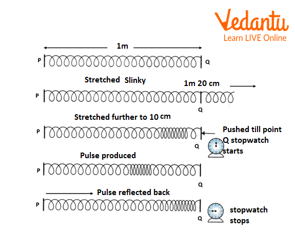 Number of pulses on a spring